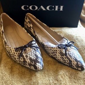 Coach shoes brand new in a box